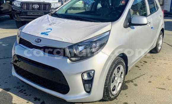 Ra Àlòkù Kia Picanto Silver Ọkọ̀ in Accra ni Greater Accra Ra Àlòkù Kia Picanto Silver Ọkọ̀ in Accra ni Greater Accra