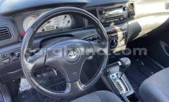 Sayi Na hannu Toyota Corolla Blue Mota in Accra a Greater Accra Sayi Na hannu Toyota Corolla Blue Mota in Accra a Greater Accra