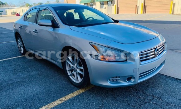 Buy New Nissan Maxima Other Car in Adaklu Waya in Volta