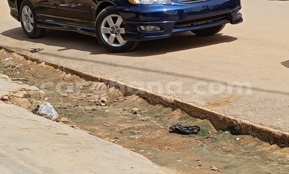 Ra Àlòkù Toyota Corolla Blue Ọkọ̀ in Sekondi–Takoradi Metropolitan ni Oorun