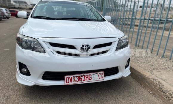 Buy Used Toyota Corolla White Car in Accra in Greater Accra