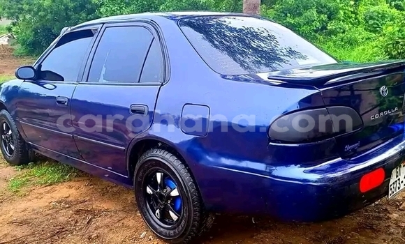 Buy Used Toyota Corolla Other Car in Accra in Greater Accra Buy Used Toyota Corolla Other Car in Accra in Greater Accra