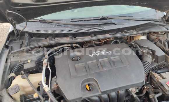 Buy Used Toyota Corolla Beige Car in Sekondi–Takoradi Metropolitan in Western Buy Used Toyota Corolla Beige Car in Sekondi–Takoradi Metropolitan in Western
