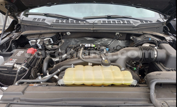 Buy Used Ford F–150 Black Car in Accra in Greater Accra Buy Used Ford F–150 Black Car in Accra in Greater Accra