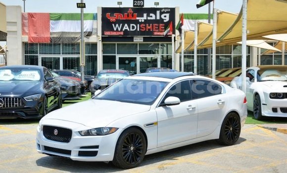 Buy Import Jaguar XE White Car in Import - Dubai in Ashanti