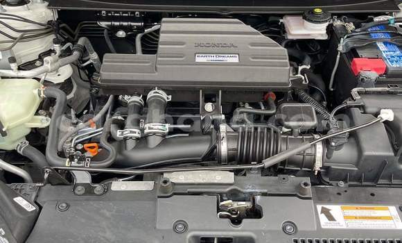 Buy Used Honda CR–V White Car in Sekondi–Takoradi Metropolitan in Western Buy Used Honda CR–V White Car in Sekondi–Takoradi Metropolitan in Western