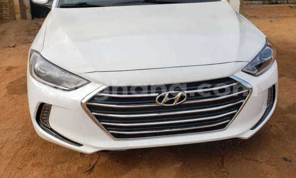 Buy Used Hyundai Elantra White Car in Accra in Greater Accra