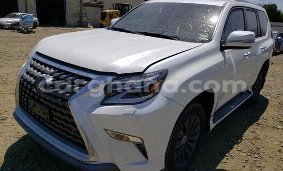 Sayi Na hannu Lexus GX White Mota in Accra a Greater Accra