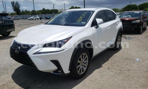 Ra Àlòkù Lexus NX funfun Ọkọ̀ in Accra ni Greater Accra