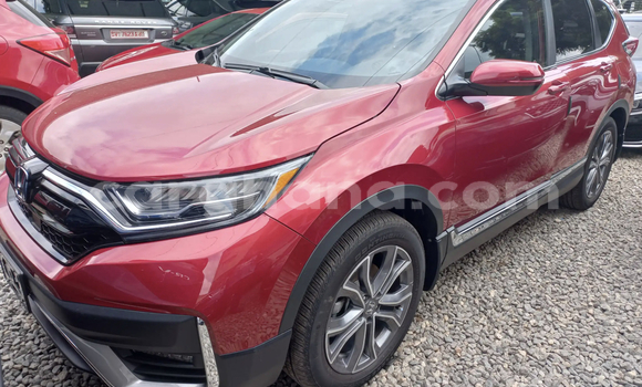 Buy Used Honda CR–V Red Car in Accra in Greater Accra Buy Used Honda CR–V Red Car in Accra in Greater Accra