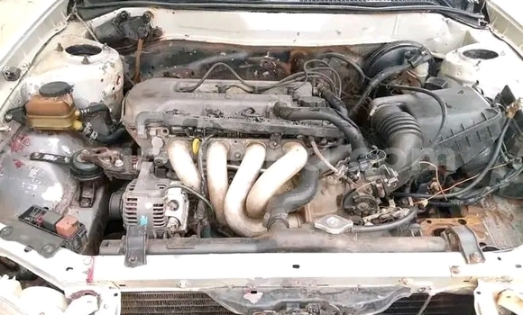 Buy Used Toyota Corolla Other Car in Accra in Greater Accra Buy Used Toyota Corolla Other Car in Accra in Greater Accra