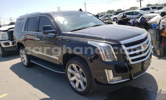 Buy Used Cadillac Escalade Black Car in Accra in Greater Accra