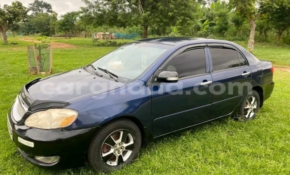 Ra Àlòkù Toyota Corolla Miiran Ọkọ̀ in Accra ni Greater Accra Ra Àlòkù Toyota Corolla Miiran Ọkọ̀ in Accra ni Greater Accra