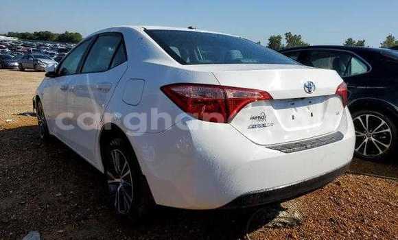 Sayi Na hannu Toyota Corolla White Mota in Accra a Greater Accra Sayi Na hannu Toyota Corolla White Mota in Accra a Greater Accra