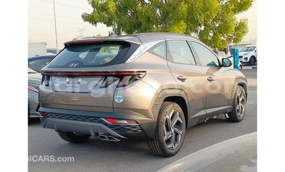 Buy Import Hyundai Tucson Brown Car in Import - Dubai in Ashanti Buy Import Hyundai Tucson Brown Car in Import - Dubai in Ashanti