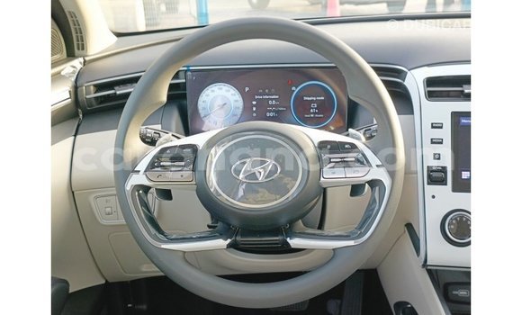Buy Import Hyundai Tucson Brown Car in Import - Dubai in Ashanti Buy Import Hyundai Tucson Brown Car in Import - Dubai in Ashanti