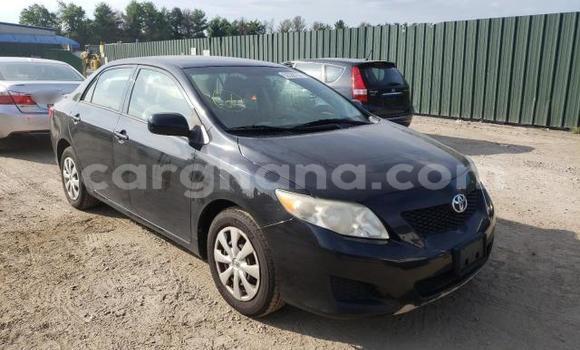 Buy Used Toyota Corolla Black Car in Tema in Greater Accra