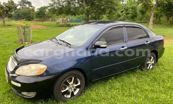 Buy Used Toyota Corolla Other Car in Accra in Greater Accra Buy Used Toyota Corolla Other Car in Accra in Greater Accra