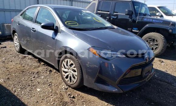 Buy Used Toyota Corolla Other Car in Tema in Greater Accra