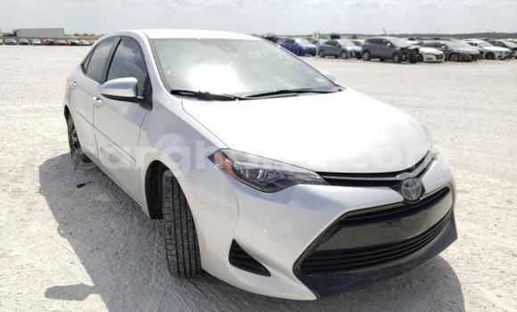 Ra Àlòkù Toyota Corolla Silver Ọkọ̀ in Tema ni Greater Accra