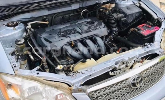 Buy Used Toyota Corolla Other Car in Accra in Greater Accra Buy Used Toyota Corolla Other Car in Accra in Greater Accra