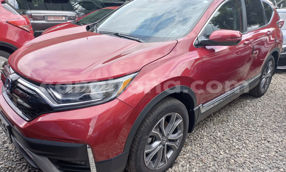 Buy Used Honda CR–V Red Car in Accra in Greater Accra Buy Used Honda CR–V Red Car in Accra in Greater Accra