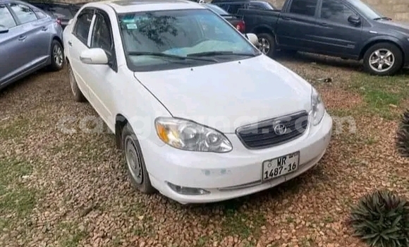 Buy Used Toyota Corolla Other Car in Accra in Greater Accra