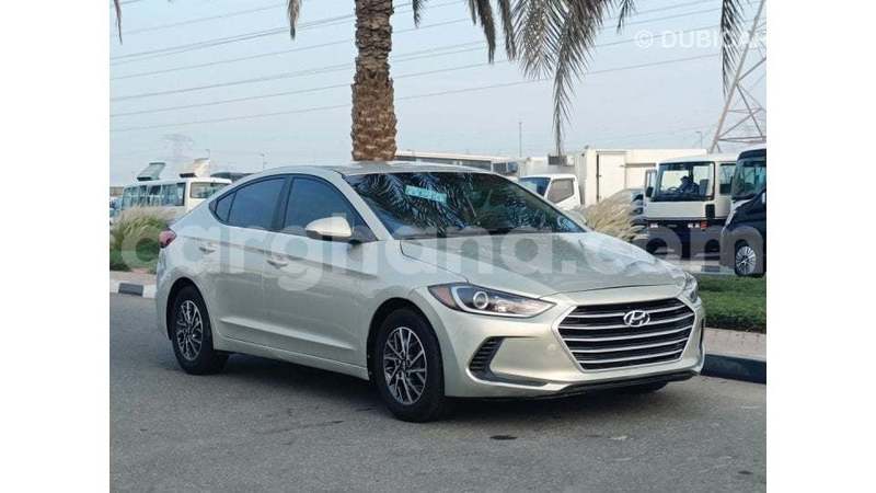 Big with watermark hyundai elantra ashanti import dubai 51417