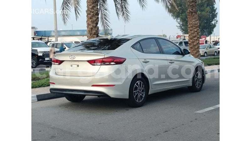 Big with watermark hyundai elantra ashanti import dubai 51417