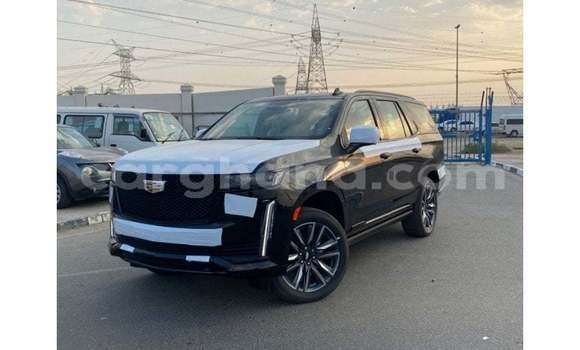 Buy Import Cadillac Escalade Black Car in Import - Dubai in Ashanti