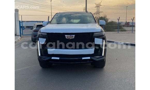 Buy Import Cadillac Escalade Black Car in Import - Dubai in Ashanti Buy Import Cadillac Escalade Black Car in Import - Dubai in Ashanti