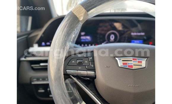 Buy Import Cadillac Escalade Black Car in Import - Dubai in Ashanti Buy Import Cadillac Escalade Black Car in Import - Dubai in Ashanti