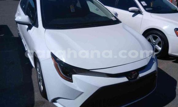 Buy Used Toyota Corolla White Car in Accra in Greater Accra