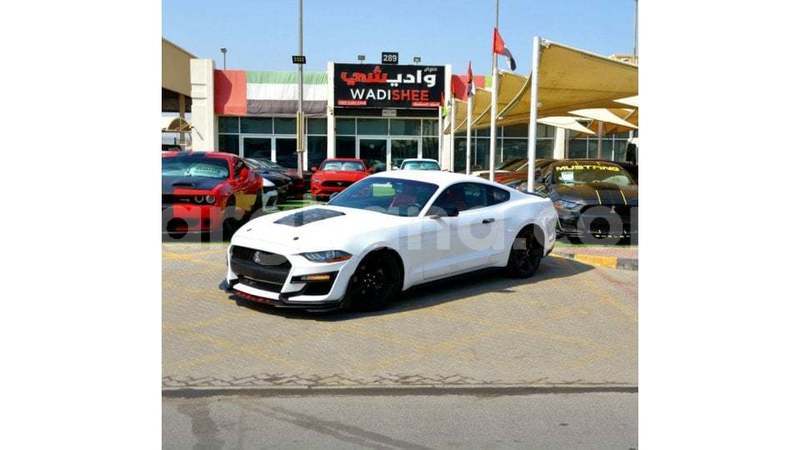 Big with watermark ford mustang ashanti import dubai 51572