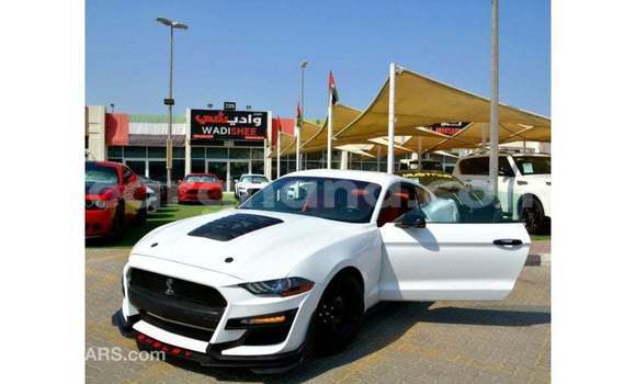 Buy Import Ford Mustang White Car in Import - Dubai in Ashanti Buy Import Ford Mustang White Car in Import - Dubai in Ashanti