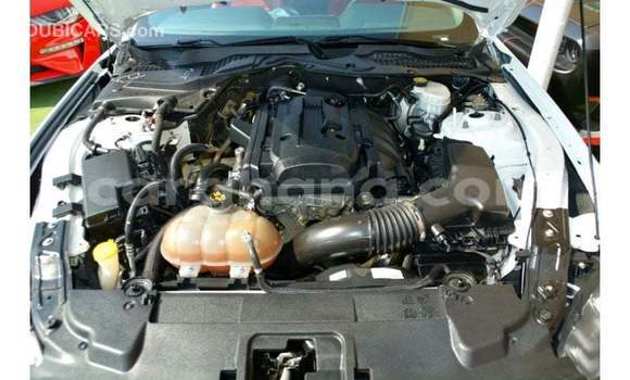 Buy Import Ford Mustang White Car in Import - Dubai in Ashanti Buy Import Ford Mustang White Car in Import - Dubai in Ashanti