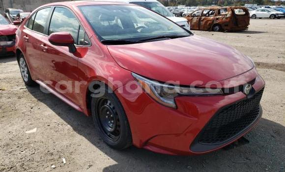 Buy Used Toyota Corolla Red Car in Accra in Greater Accra