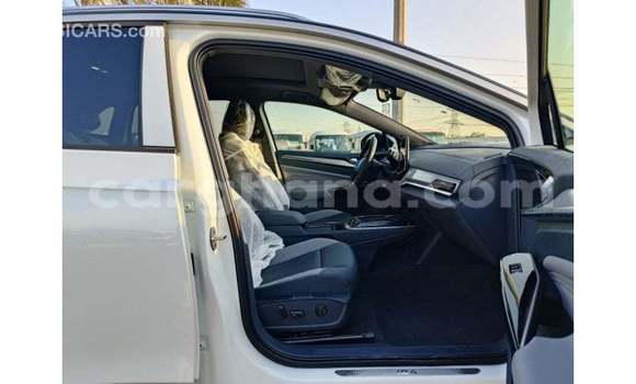 Buy Import Volkswagen Beetle White Car in Import - Dubai in Ashanti Buy Import Volkswagen Beetle White Car in Import - Dubai in Ashanti