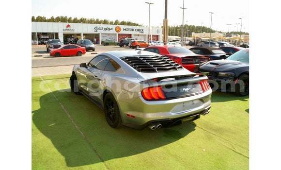 Buy Import Ford Mustang Other Car in Import - Dubai in Ashanti Buy Import Ford Mustang Other Car in Import - Dubai in Ashanti