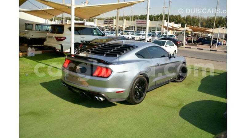 Big with watermark ford mustang ashanti import dubai 51694