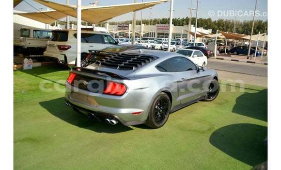 Buy Import Ford Mustang Other Car in Import - Dubai in Ashanti Buy Import Ford Mustang Other Car in Import - Dubai in Ashanti