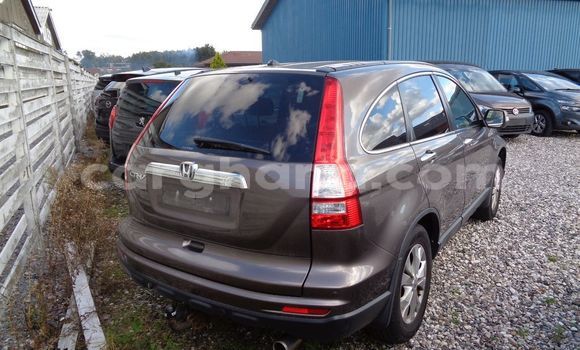Sayi Na hannu Honda CR–V Brown Mota in Accra a Greater Accra Sayi Na hannu Honda CR–V Brown Mota in Accra a Greater Accra