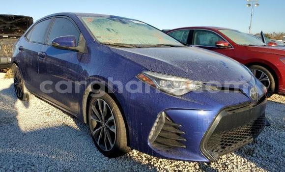 Buy Used Toyota Corolla Blue Car in Accra in Greater Accra