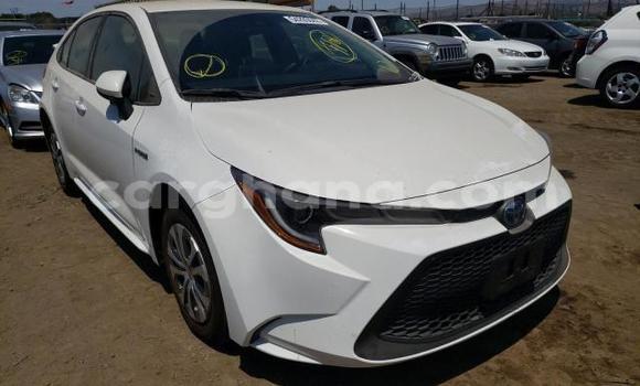 Ra Àlòkù Toyota Corolla funfun Ọkọ̀ in Accra ni Greater Accra