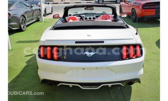 Buy Import Ford Mustang White Car in Import - Dubai in Ashanti Buy Import Ford Mustang White Car in Import - Dubai in Ashanti