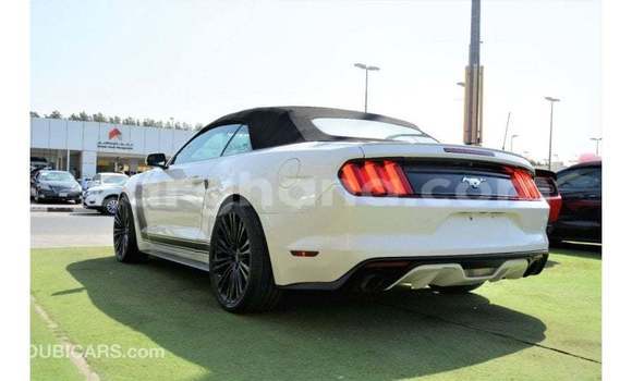 Buy Import Ford Mustang White Car in Import - Dubai in Ashanti Buy Import Ford Mustang White Car in Import - Dubai in Ashanti