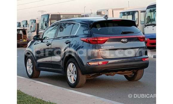 Buy Import Kia Sportage Blue Car in Import - Dubai in Ashanti Buy Import Kia Sportage Blue Car in Import - Dubai in Ashanti