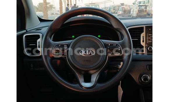 Buy Import Kia Sportage Blue Car in Import - Dubai in Ashanti Buy Import Kia Sportage Blue Car in Import - Dubai in Ashanti