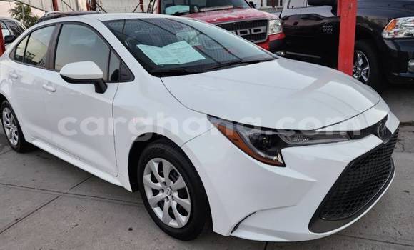 Buy Used Toyota Corolla White Car in Accra in Greater Accra