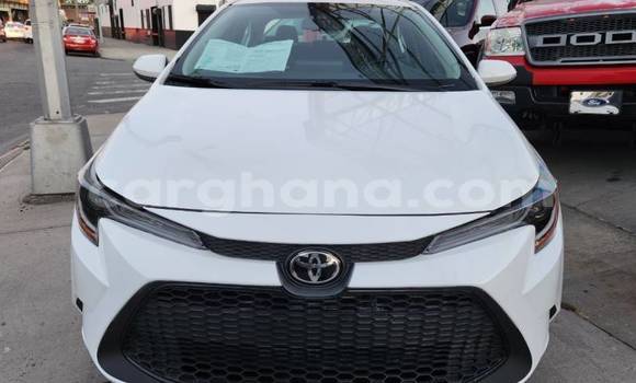 Sayi Na hannu Toyota Corolla White Mota in Accra a Greater Accra Sayi Na hannu Toyota Corolla White Mota in Accra a Greater Accra